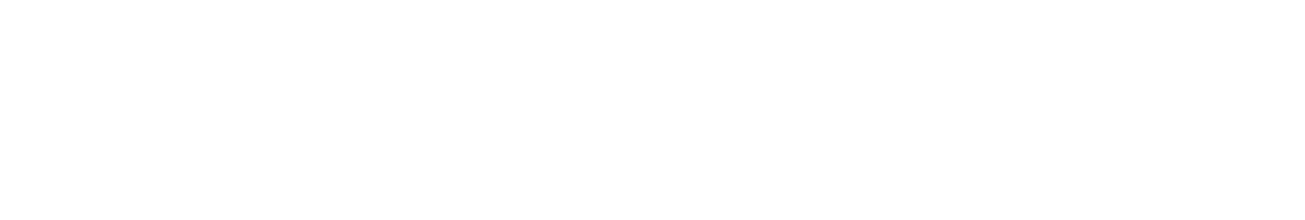 SentinelOne Logo White